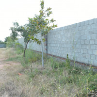 KIA-WEST-COMPUND-WALL